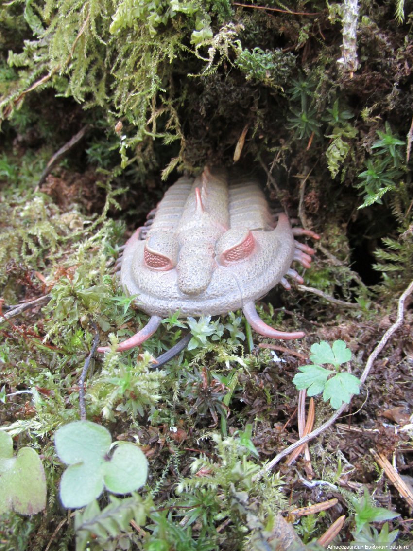 Трилобиты у Красной реки — Интересные игрушки и фигурки (разное): редкие