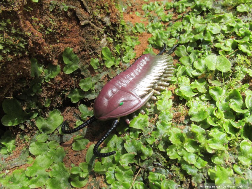 Трилобиты у Красной реки — Интересные игрушки и фигурки (разное): редкие (фото 4)