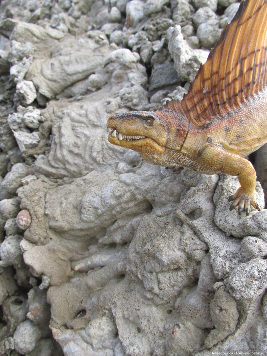 Диметродон: знакомое место (фото 8)