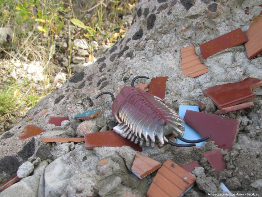 Диметродон: знакомое место