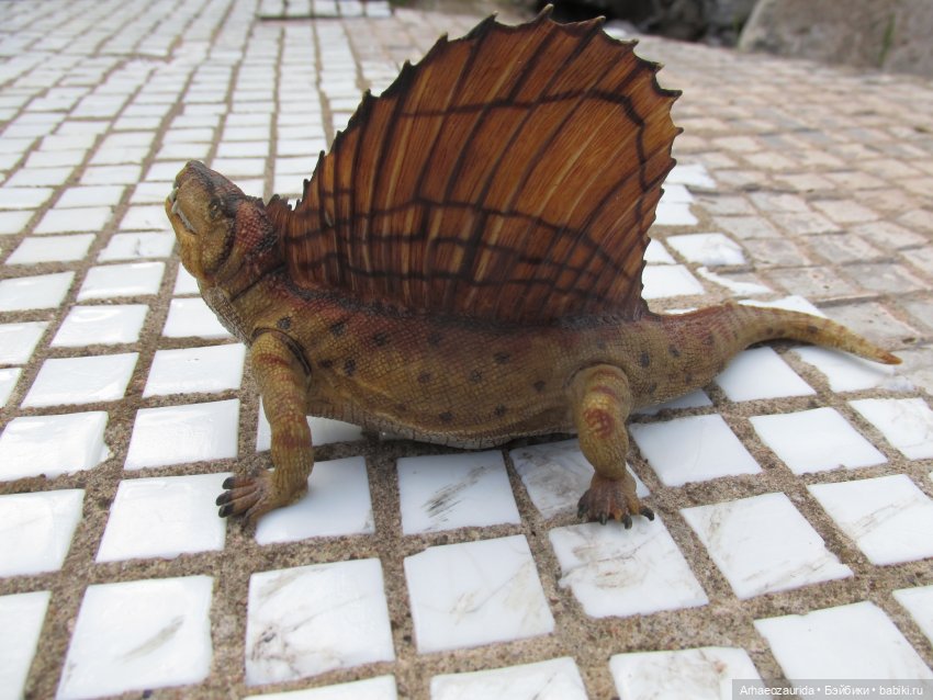 Диметродон: знакомое место (фото 2)