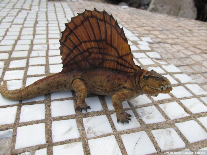 Диметродон: знакомое место