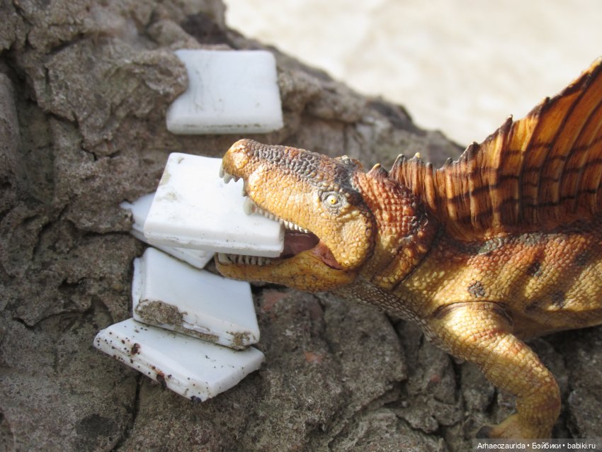 Диметродон: знакомое место (фото 4)