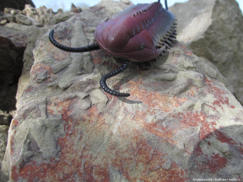 Диметродон: знакомое место