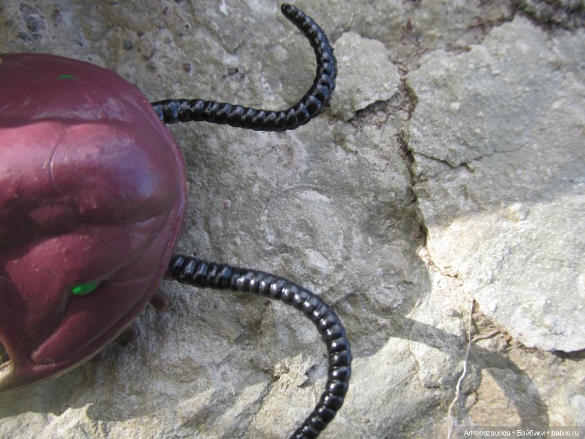 Диметродон: знакомое место