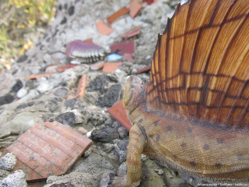 Диметродон: знакомое место (фото 10)