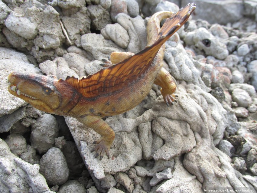 Диметродон: знакомое место (фото 5)