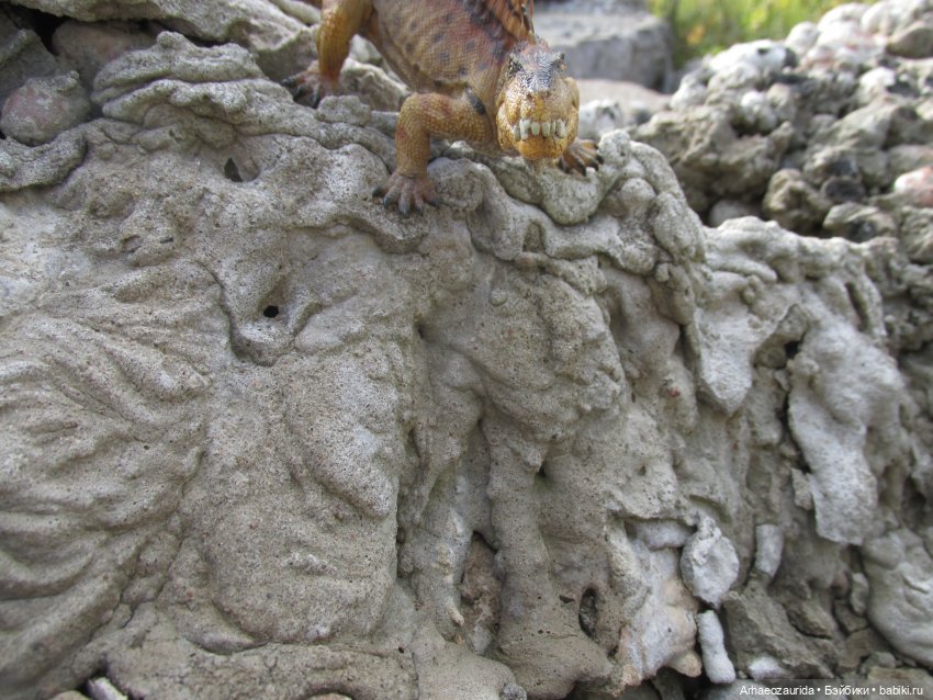 Диметродон: знакомое место (фото 7)