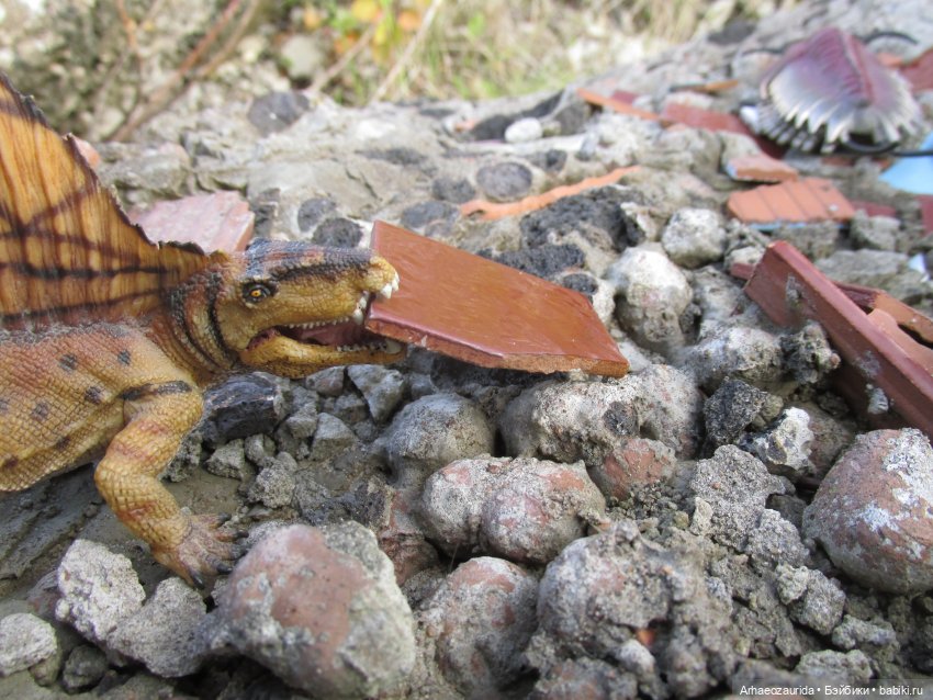 Диметродон: знакомое место (фото 9)