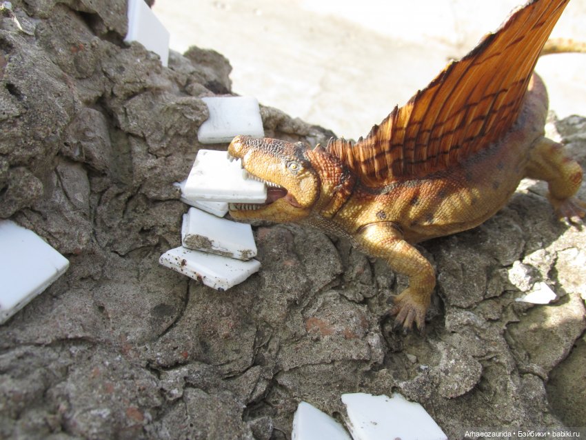 Диметродон: знакомое место (фото 3)