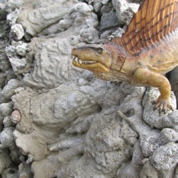 Диметродон: знакомое место