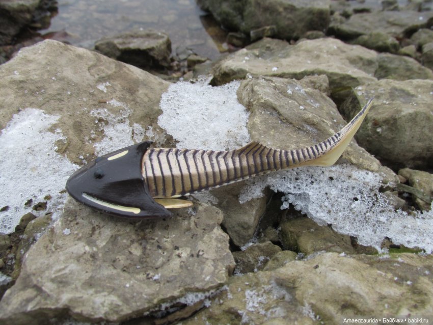 Ящеры на Холмах: первый лёд | Бэйбики Ящеры на Холмах: первый лёд