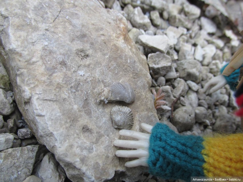 Ящеры на Холмах: первый лёд | Бэйбики Ящеры на Холмах: первый лёд