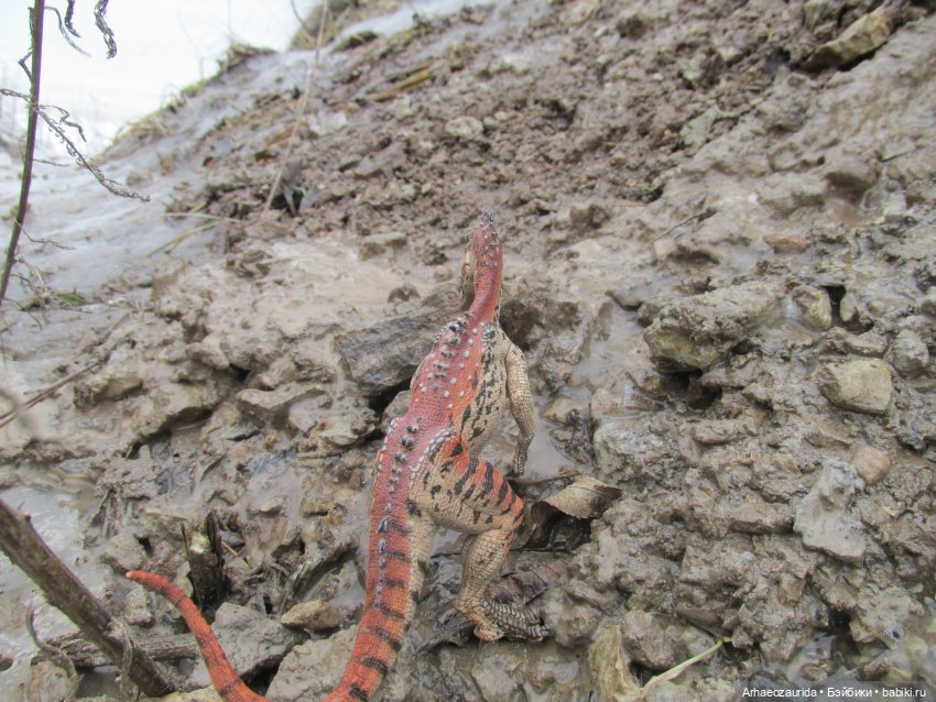 Ящеры на Холмах: первая оттепель (фото 5)