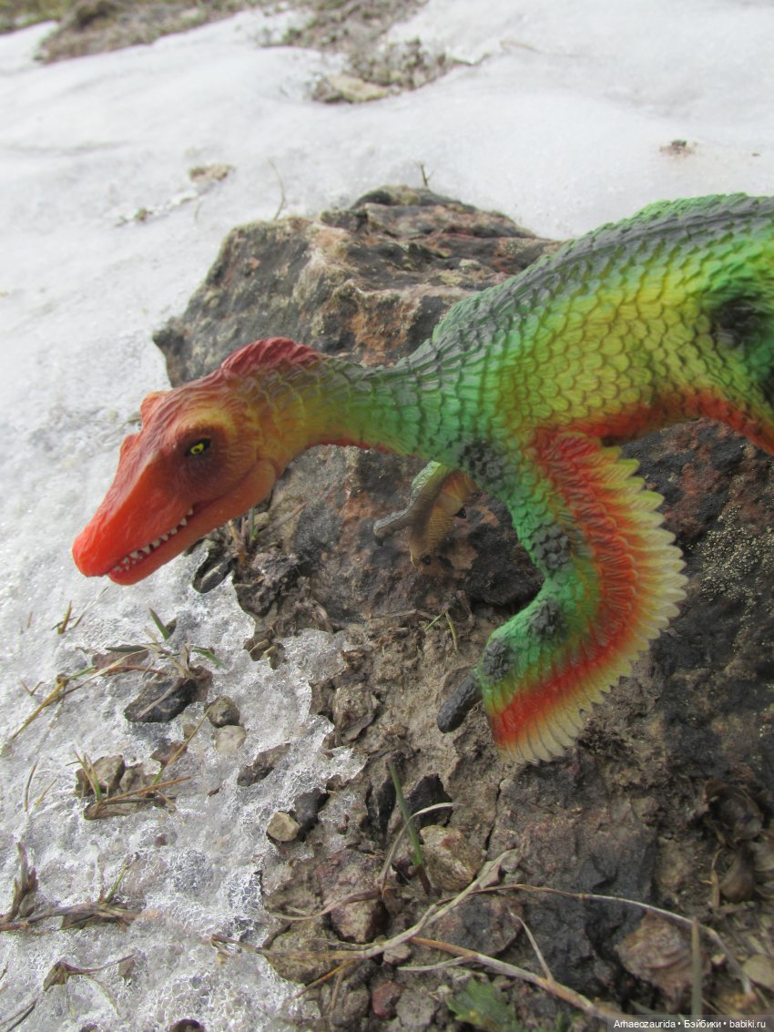 Ящеры на Холмах: по следам