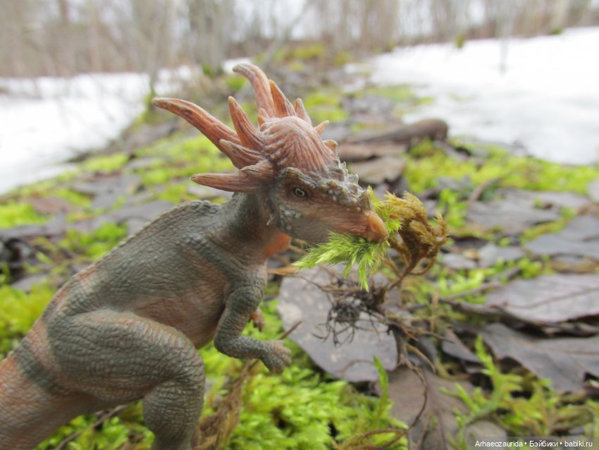 Ящеры на Холмах: по следам (фото 5)