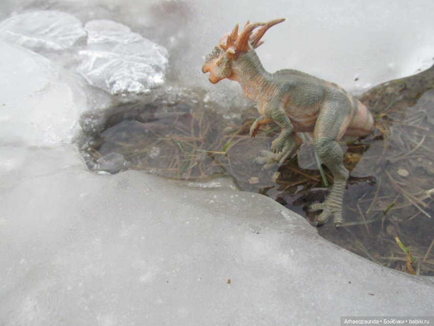 Ящеры на Холмах: по следам