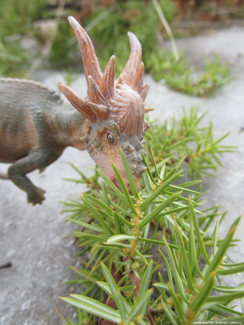 Ящеры на Холмах: по следам