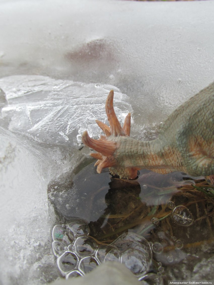 Ящеры на Холмах: по следам