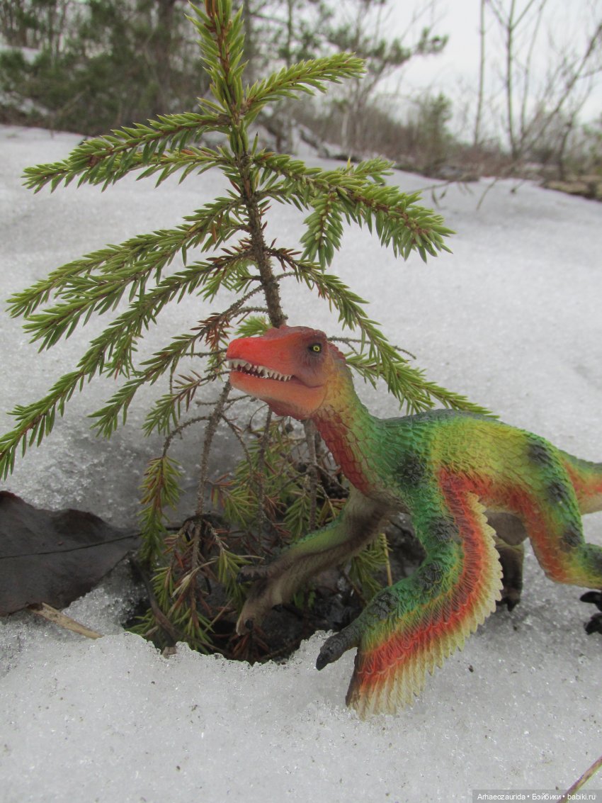 Ящеры на Холмах: по следам (фото 6)