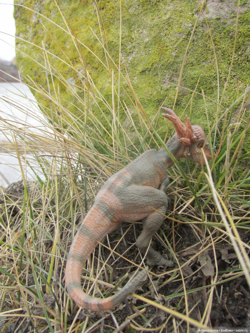 Ящеры на Холмах: по следам (фото 9)