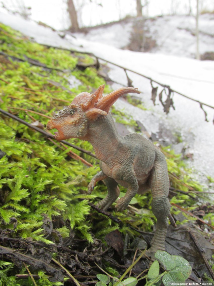 Ящеры на Холмах: по следам (фото 7)