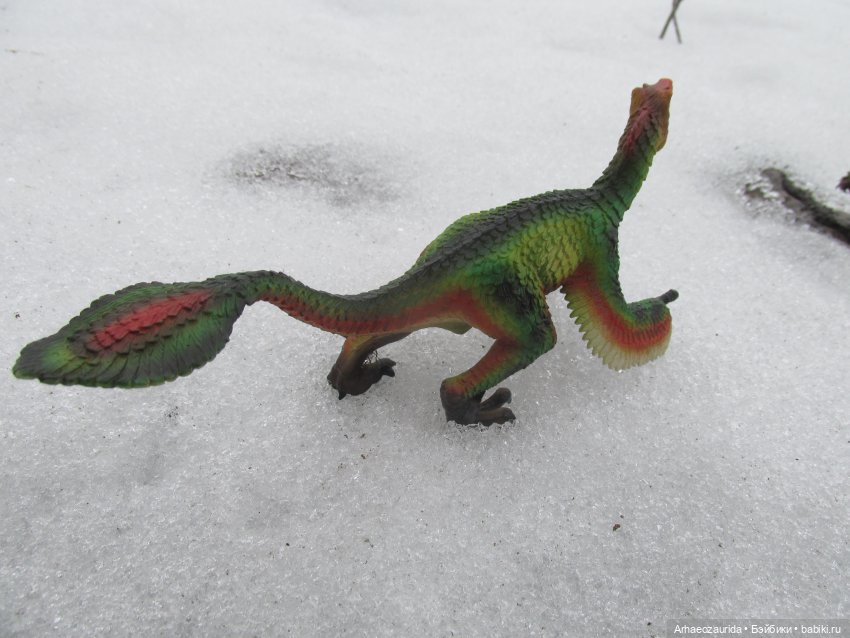 Ящеры на Холмах: по следам (фото 4)