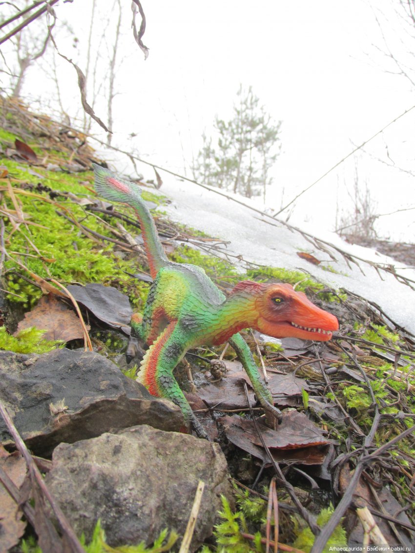 Ящеры на Холмах: по следам