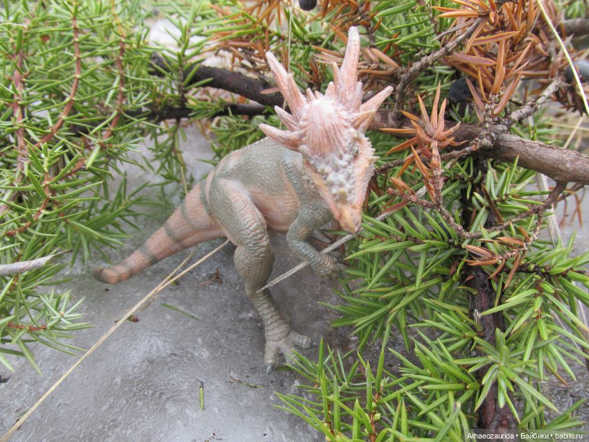 Ящеры на Холмах: по следам