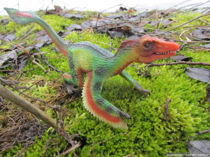 Ящеры на Холмах: по следам (фото 2)