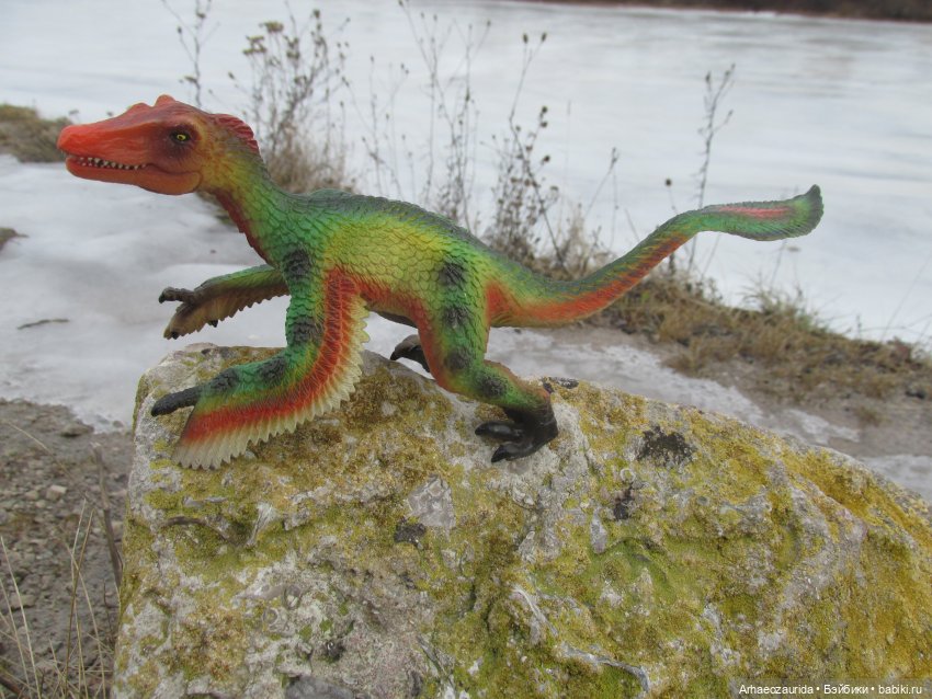 Ящеры на Холмах: по следам (фото 10)