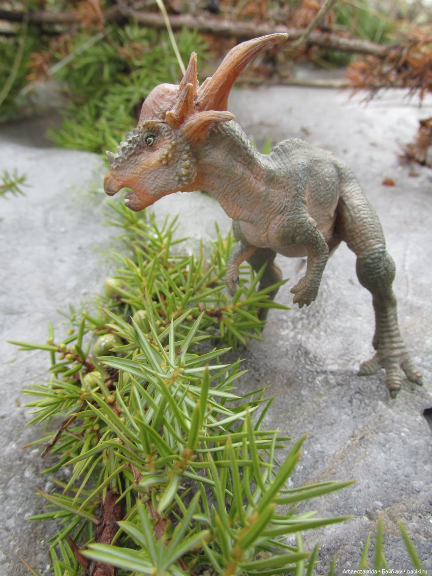 Ящеры на Холмах: по следам (фото 8)