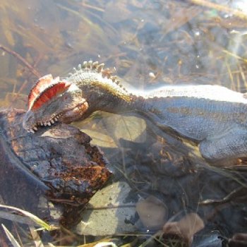 Кейнес и Холмы: холодная река