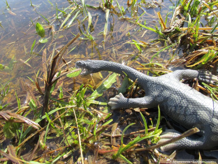 Половодье: речные хищники (фото 4)