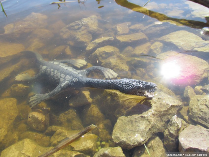 Половодье: речные хищники
