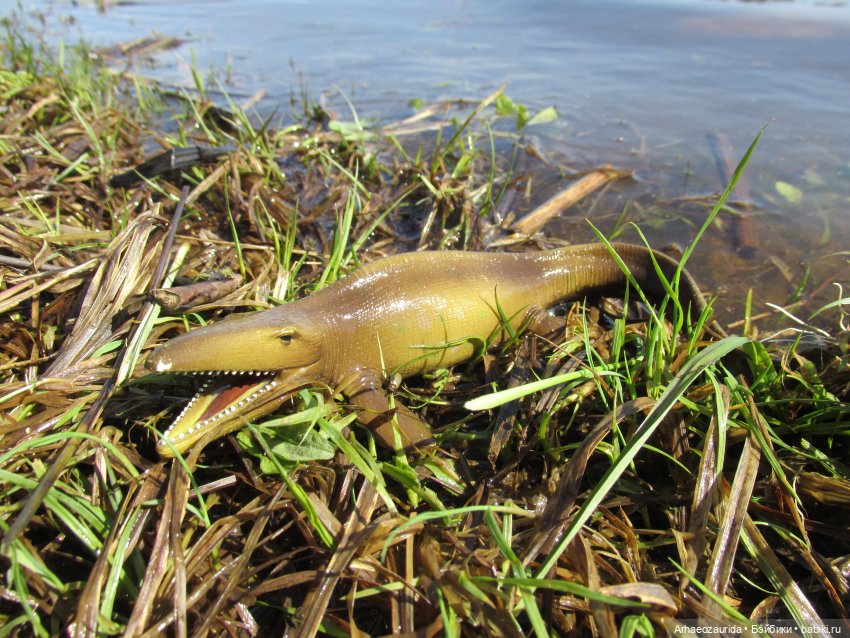 Половодье: речные хищники