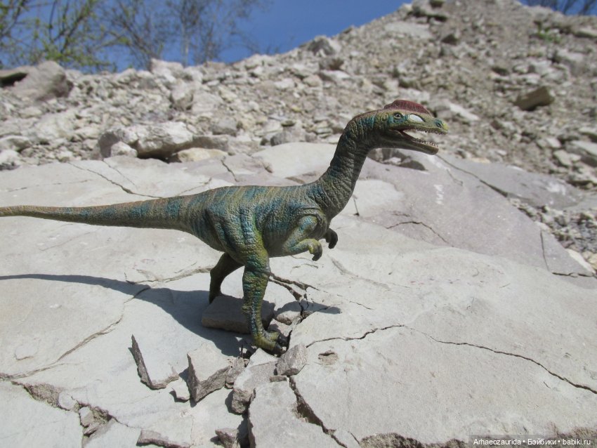 Ящеры на Холмах: не по зубам (фото 8)