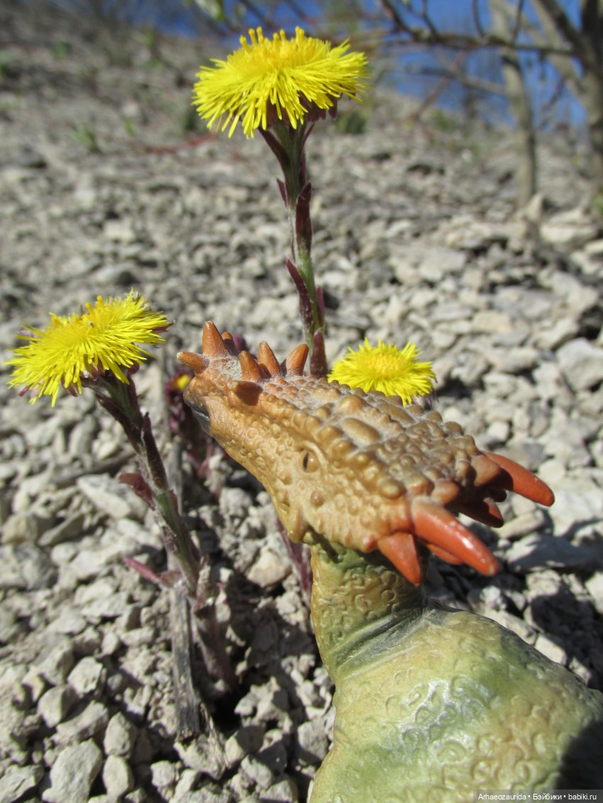 Ящеры на Холмах: не по зубам (фото 3)
