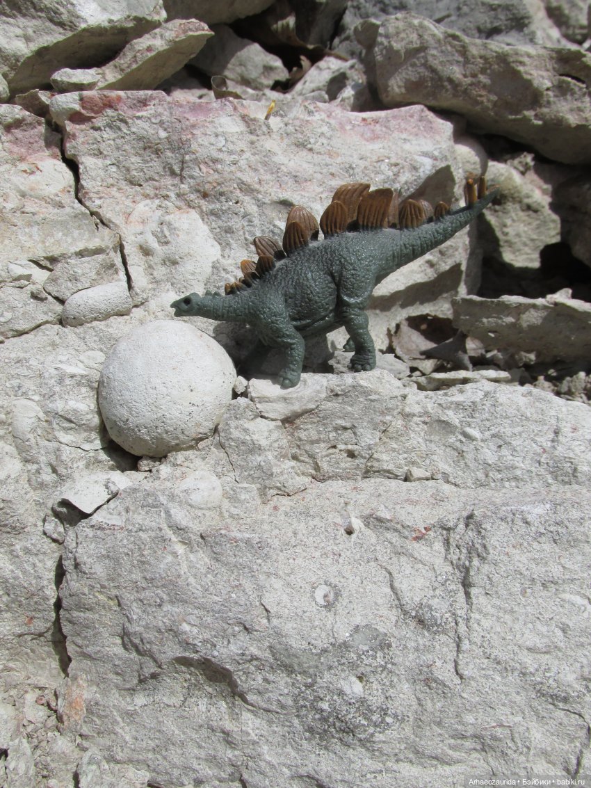 Ящеры на Холмах: о всеядности (фото 9)