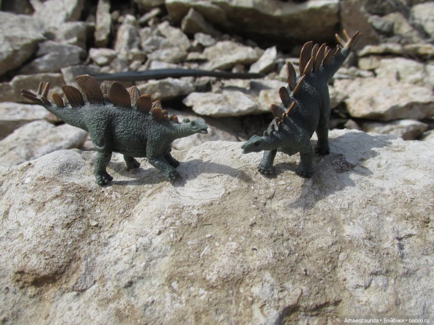 Ящеры на Холмах: о всеядности (фото 6)