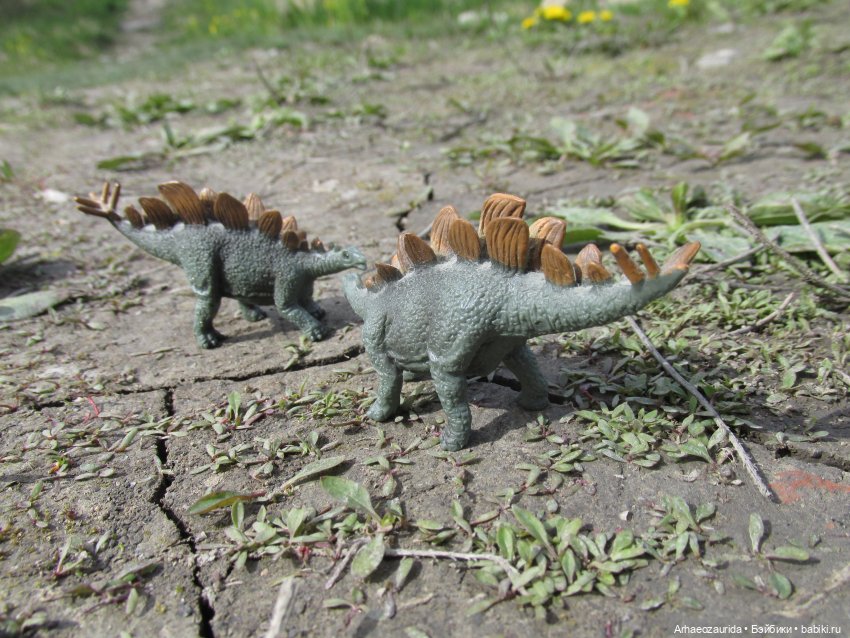 Ящеры на Холмах: о всеядности (фото 3)