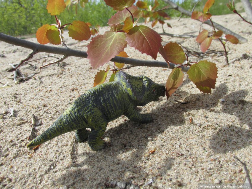 Ящеры на Холмах: о всеядности (фото 4)