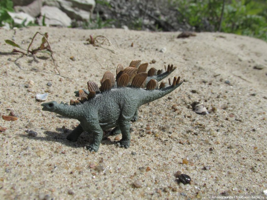 Ящеры на Холмах: о всеядности (фото 7)