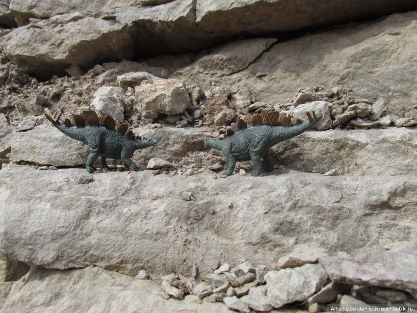 Ящеры на Холмах: о всеядности (фото 5)