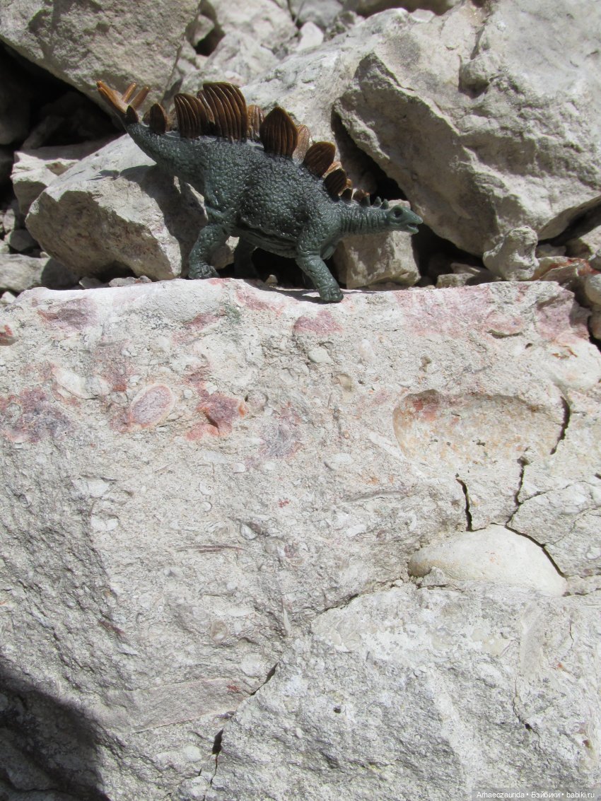 Ящеры на Холмах: о всеядности (фото 10)