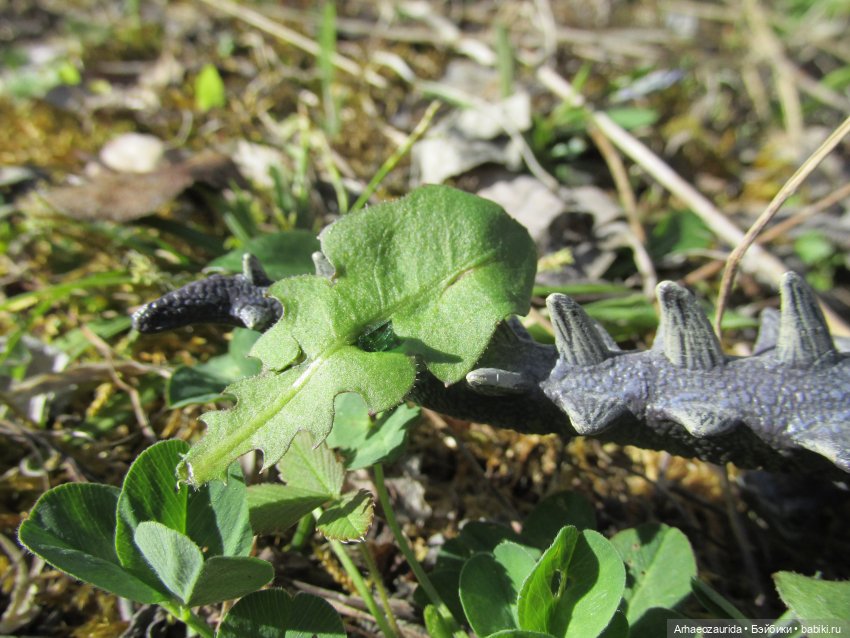Ящеры на Холмах: «старый трюк» (фото 9)