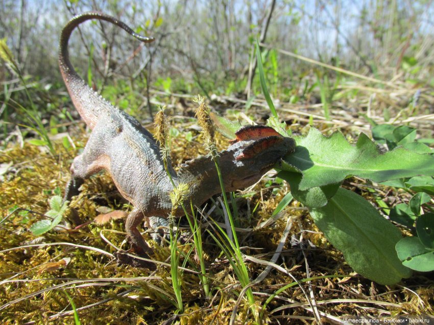 Ящеры на Холмах: «старый трюк»