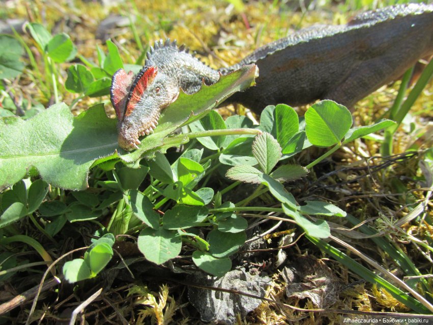 Ящеры на Холмах: «старый трюк» (фото 2)