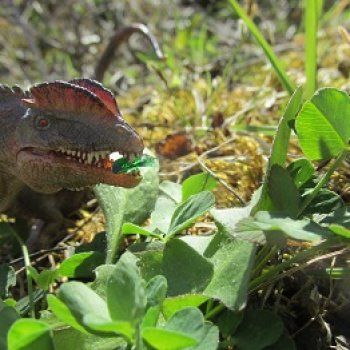 Ящеры на Холмах: «старый трюк»