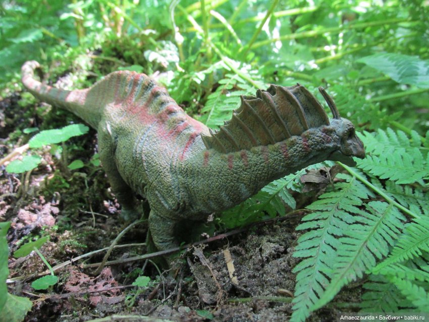 Красная Река: всплывая со дна (фото 6)